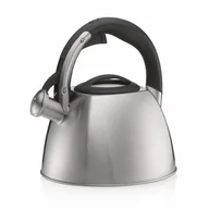 Czajniki na gaz - Czajnik, stal nierdzewna 18/10, śred. 22 x 21,5 cm, 2,4 l, metaliczny matowy kod: KE-12078 - miniaturka - grafika 1
