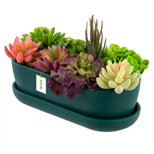 Doniczka ceramiczna nowoczesny kolor Butelkowa zieleń Mat 27,5 cm Owalna Kaktusiarka - Donice - miniaturka - grafika 1