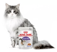 Mokra karma dla kotów - Royal Canin Sterilised w galaretce 24x85g 16498-uniw - miniaturka - grafika 1