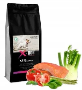 X-DOG MEGA FOOD ADULT LIGHT SZKOCKI ŁOSOŚ 2KG - Sucha karma dla psów - miniaturka - grafika 1