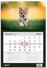 Kalendarze - Kalendarz 2026 jednodzielny Pies Corgi HELMA - miniaturka - grafika 1