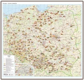 Mapy i plansze edukacyjne - EkoGraf, Polska mapa ścienna zamków na podkładzie w drewnianej ramie, 1:700 000 - miniaturka - grafika 1