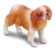 Figurki dla dzieci - COLLECTA Pies rasy Spaniel Cavalier King Charles . - miniaturka - grafika 1