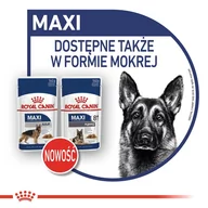 Sucha karma dla psów - Royal Canin Senior Maxi Ageing 8+ 15 kg - miniaturka - grafika 1