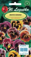 Nasiona i cebule - Nasiona Bratek Rococo mieszanka 0.40g - W.Legutko - miniaturka - grafika 1