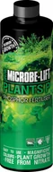 Pozostałe akcesoria do akwarium - MICROBE-LIFT PLANTS P 118ml - PHOSPHORUS (fosfor) - miniaturka - grafika 1