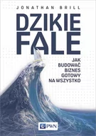 Zarządzanie - Dzikie fale - miniaturka - grafika 1