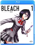 Filmy animowane Blu-Ray - Bleach - Arc 1: The Substitute (Eps 01-20) - miniaturka - grafika 1