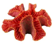 Dekoracje do akwarium - AQUA NATURA Dekoracja akwarystyczna ukwiał - czerwony - miniaturka - grafika 1