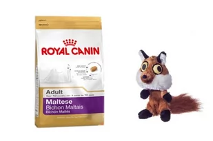 Royal Canin Maltese Adult 1,5kg + Pojemnik na karmę 1,5kg 189170 - Mokra karma dla psów - miniaturka - grafika 1