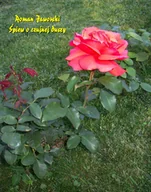 E-booki - kultura i sztuka - Śpiew o czujnej duszy - miniaturka - grafika 1