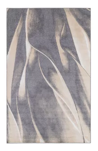 Logan Szary - Dywany - miniaturka - grafika 1