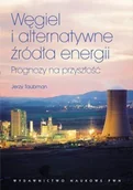 Przewodniki - Wydawnictwo Naukowe PWN Węgiel i alternatywne źródła energii - Jerzy Taubman - miniaturka - grafika 1