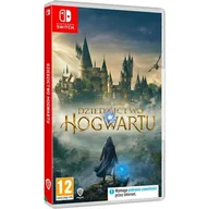 Gry Nintendo Switch - Hogwarts Legacy GRA NINTENDO SWITCH - miniaturka - grafika 1