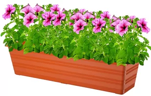 Doniczka balkonowa Draco (60 cm, terakotowy) - Donice - miniaturka - grafika 2