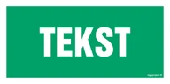 Systemy ekspozycyjne i znaki informacyjne - ZNAK NA ZAMÓWIENIE WZÓR A-008, TS - PŁYTA TD FOTOLUMINESCENCYJNA; (200X100MM) - miniaturka - grafika 1
