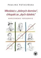 Technika - Młodzież z „dobrych domów”, chłopaki ze „złych dzielnic”. W - Paulina Potasińska - miniaturka - grafika 1