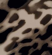 Szlafroki damskie - Blumarine Szlafrok Dakota Wax - miniaturka - grafika 1