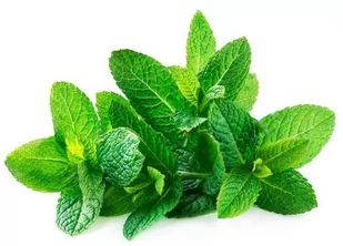 EQUIHERBS Mięta 0,5 kg - Akcesoria jeździeckie - miniaturka - grafika 1