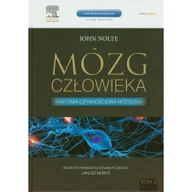 Podręczniki dla szkół wyższych - Urban & Partner Mózg człowieka Tom 2 - John Nolte - miniaturka - grafika 1