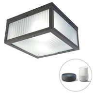 Lampy ogrodowe - QAZQA Inteligentna lampa sufitowa zewnętrzna czarna z żebrowanym szkłem z WiFi A60 - Charlois - miniaturka - grafika 1