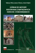 Felietony i reportaże - Górnicze metody ratowania zabytkowych dzielnic staromiejskich - miniaturka - grafika 1