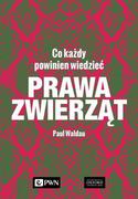 Felietony i reportaże - Prawa zwierząt co każdy powinien wiedzieć | - miniaturka - grafika 1