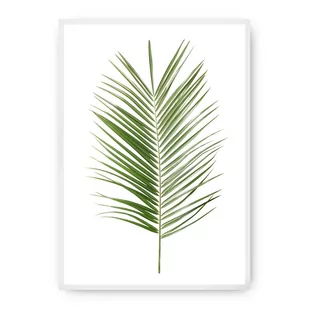 Dekoria Dekoria Plakat Palm Leaf Green 50 x 70 cm Ramka Biała 222F-000-06 - Plakaty - miniaturka - grafika 1