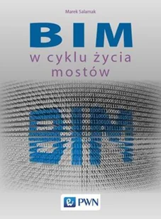 Bim W Cyklu Życia Mostów Marek Salamak - Nauka - miniaturka - grafika 2