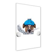 Obrazy i zdjęcia na płótnie - Foto obraz szkło hartowane pionowy Chory pies - miniaturka - grafika 1