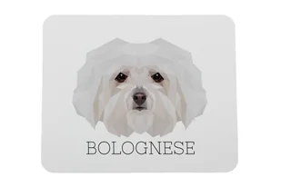 Bolończyk podkładka geometryczny Art-Dog - Podkładki pod mysz - miniaturka - grafika 1