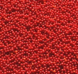 POSYPKA CUKROWA MACZEK PERŁOWY czerwony 2mm - 50g - Dodatki do ciast w proszku - miniaturka - grafika 1