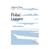 Poezja - PIW Połać i szum - miniaturka - grafika 1