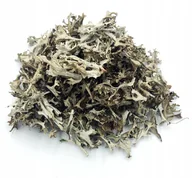 Przyprawy i zioła sypkie - POROST ISLANDZKI PŁUCNICA 200 G 100% NATURALNY - miniaturka - grafika 1