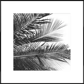 Obrazy i zdjęcia na płótnie - Obraz Artbox 50 x 50 cm AB081 PALMS - miniaturka - grafika 1