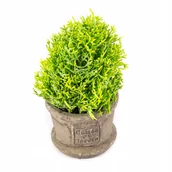 Sztuczne kwiaty - Ozdobna roślina w doniczce mini krzak 17cm - miniaturka - grafika 1