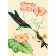 Kartki okolicznościowe i zaproszenia - Karnet B6 z kopertą Dziękuję Kolibry - miniaturka - grafika 1