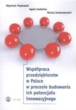 Współpraca Przedsiębiorstw w Polsce w Procesie Budowania Ich Potencjału Innowacyjnego - Biznes - miniaturka - grafika 1
