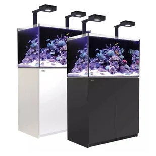 Red Sea REEFER G2+ 250 Deluxe System zestaw akwarium z białą szafką - Akwaria i zestawy akwarystyczne - miniaturka - grafika 1