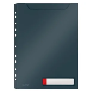Leitz Koszulka poszerzana A4 perforacja szara - 3 szt - Cosy 46680089 - Koszulki na dokumenty - miniaturka - grafika 2