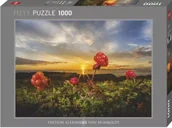 Puzzle - Puzzle 1000 Malina Nordycka z zachodem słońca - Heye - miniaturka - grafika 1