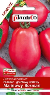 Pomidor gruntowy Malinowy Bosman 10 g Plantico - Nasiona i cebule - miniaturka - grafika 1