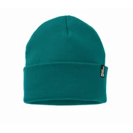 Czapki męskie - Czapka Jack Wolfskin RIB BEANIE sea green - ONE SIZE - miniaturka - grafika 1