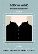 E-booki - lektury - Dziecko Noego Erica-Emmanuela Schmitta. Streszczenie, analiza, interpretacja - miniaturka - grafika 1