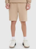 Spodenki męskie - 4F Spodenki dresowe męskie 4FWSS25TSHOM571-83S Brązowy Roz. M - miniaturka - grafika 1