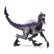 Albumy krajoznawcze - Raptor Cienia - miniaturka - grafika 1