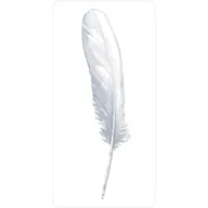 Ezoteryka - Divine Feather Oracle, karty do wróżenia - miniaturka - grafika 1