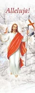 Ikony i obrazy sakralne - Baner na Wielkanoc "Alleluja!" - biały 130x210cm TUNEL - miniaturka - grafika 1