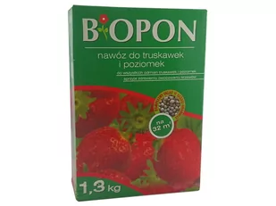 Biopon Nawóz do truskawek i poziomek 1,3kg Nawóz do truskawek i poziomek 1,3kg - Nawozy ogrodnicze - miniaturka - grafika 1