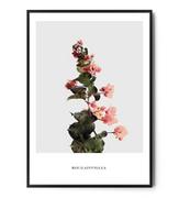 Plakaty - Fox Art Studio, Plakat, Różowy Kwiat,  wymiary 30x40 cm - miniaturka - grafika 1
